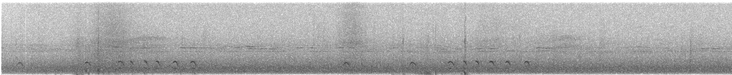 Barred Forest-Falcon - ML645749224