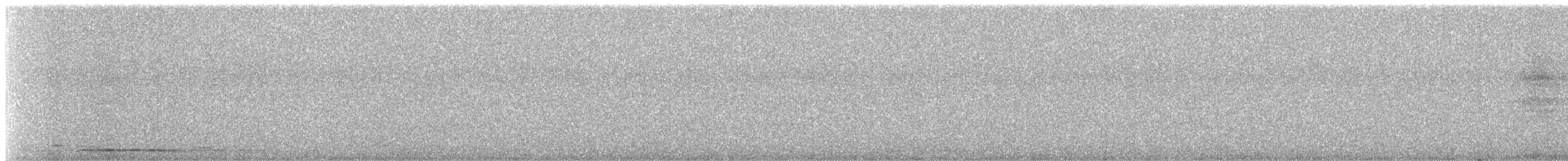 Chouette hulotte - ML645749317