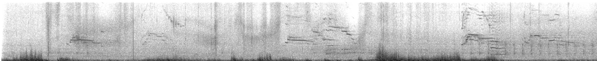 Yellow-legged Gull - ML645749489