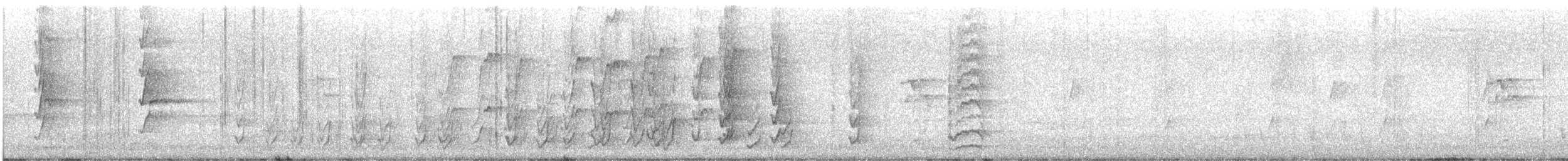 Noisy Miner - ML645749513