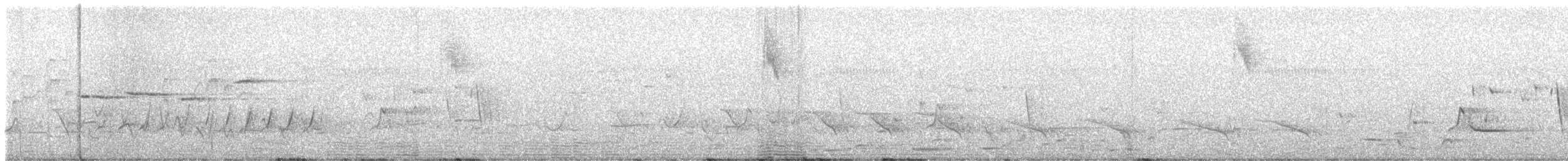 Sahul Brush Cuckoo - ML645750573