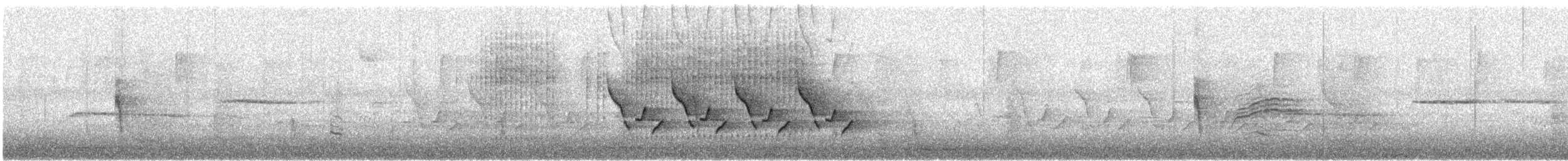 Carolina Wren - ML645750970