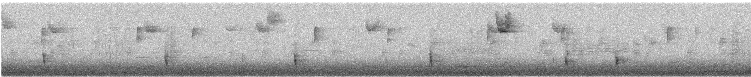 Hermit Thrush - ML645751251