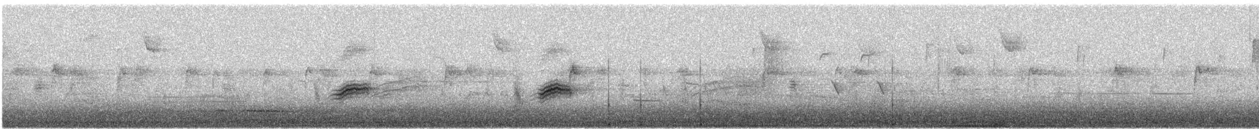 Пятнистый тохи - ML645751275