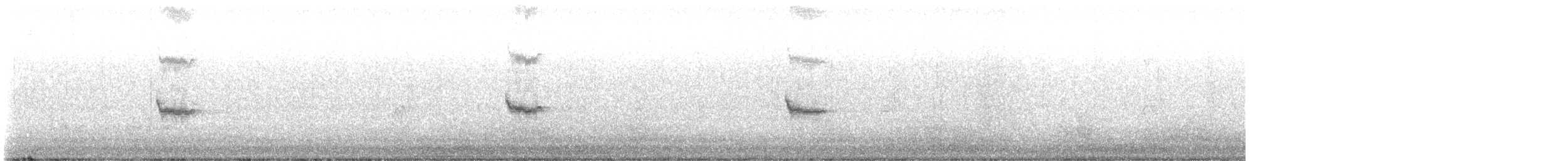 Northern Shrike - ML645751480