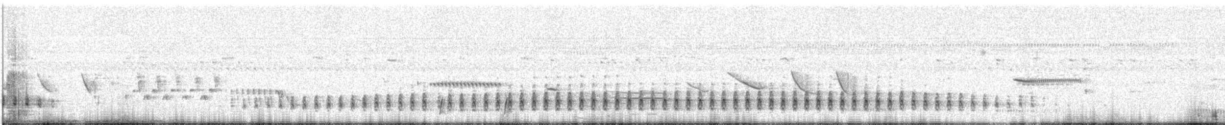 Pantanal Snipe - ML645751815