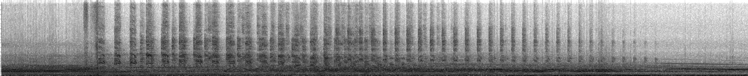 Карибский пастушок - ML645752128