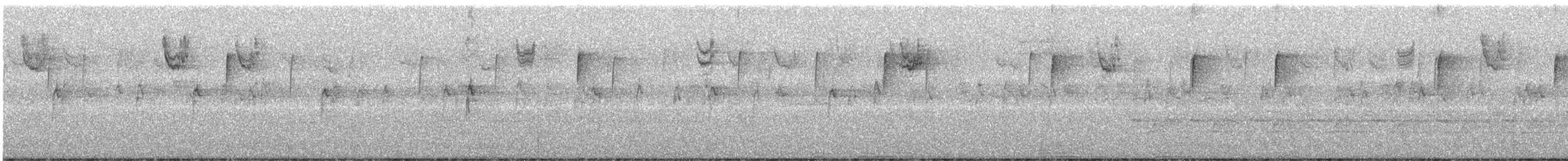 Белогорлая зонотрихия - ML645752278