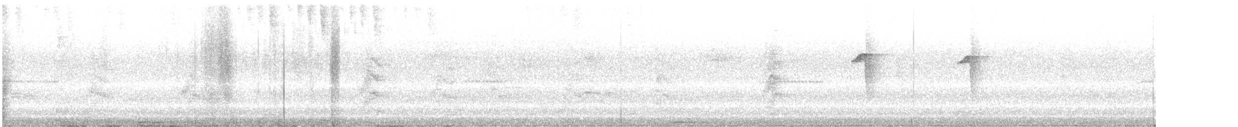 Момот амазонійський - ML645754576