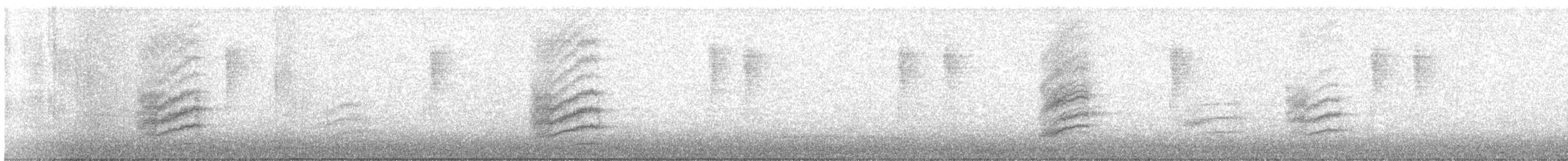 Тауї плямистий - ML645754695