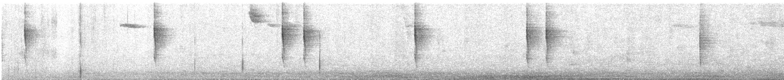 Волоочко кордильєрське - ML645754709