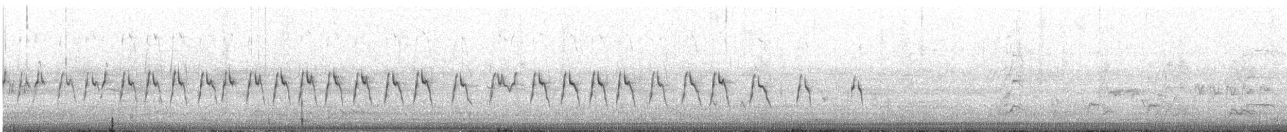 Пірникоза австралійська - ML645754726