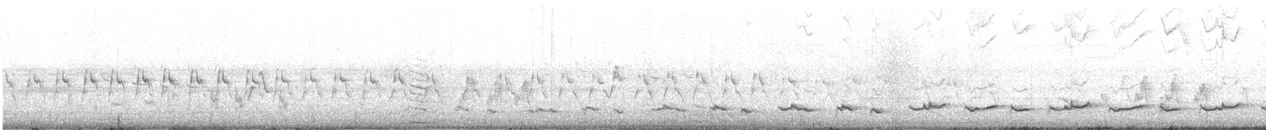 Пірникоза австралійська - ML645754727