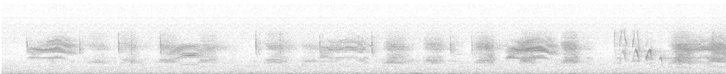 Тауї плямистий - ML645754847