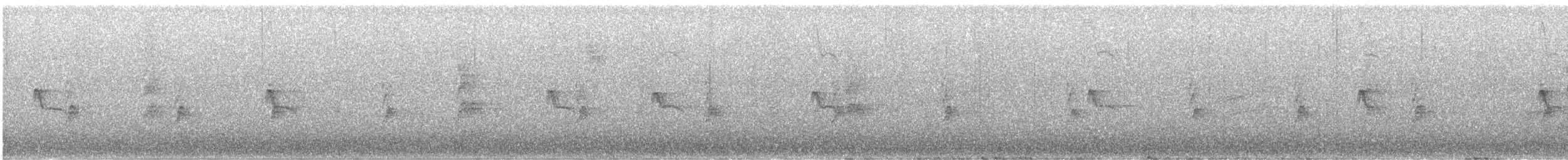 Black Phoebe - ML645755889