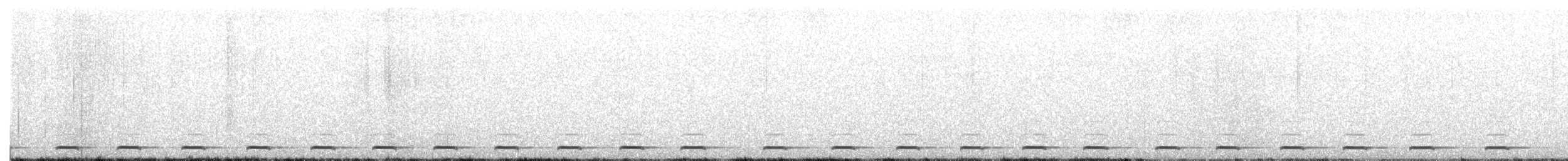 Unspotted Saw-whet Owl - ML645756489