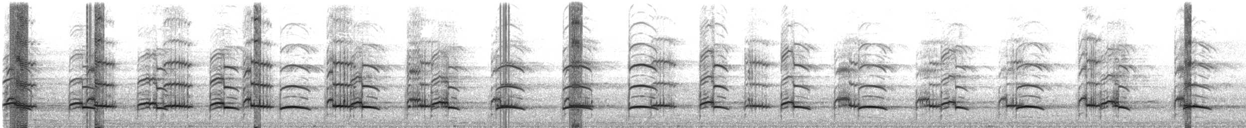 Andean Gull - ML645756902