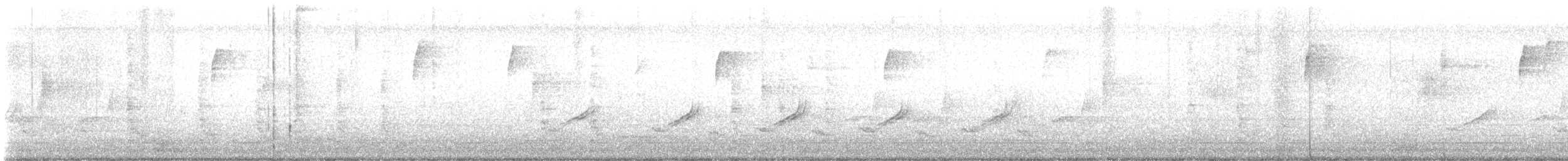 Red-bellied Woodpecker - ML645757274