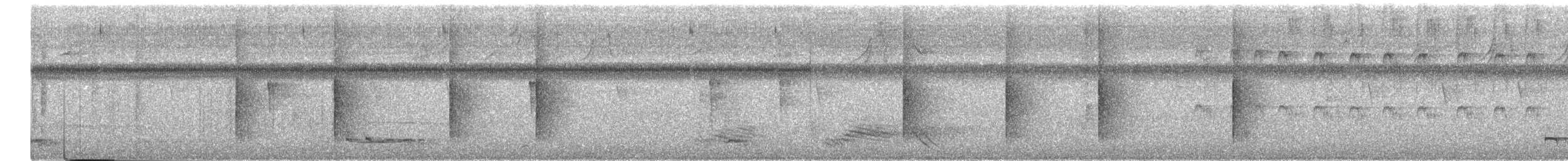 White-bearded Manakin - ML645757286