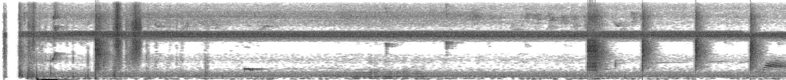 White-bearded Manakin - ML645757290