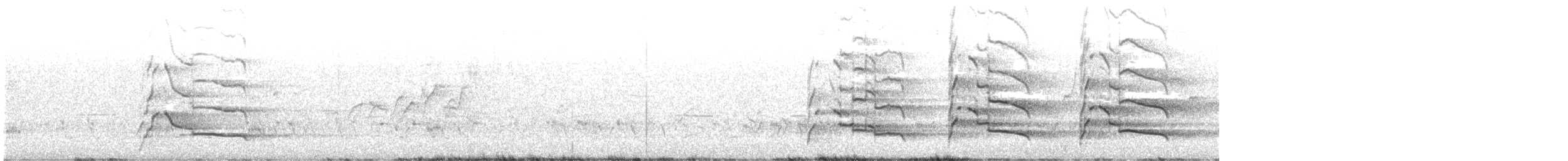 Carnaby's Black-Cockatoo - ML645757369