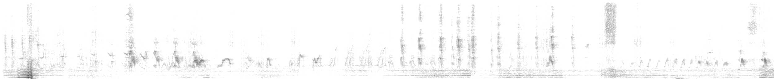 White-browed Woodswallow - ML645757444