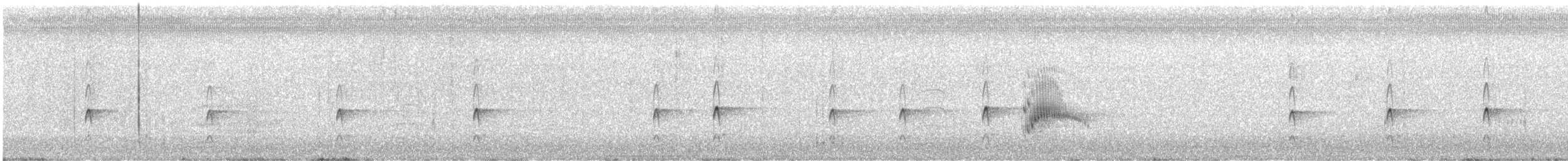 Couch's Kingbird - ML645757465