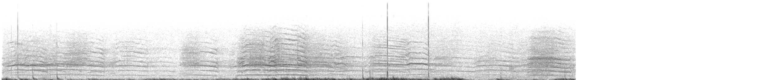 Western Corella - ML645757563