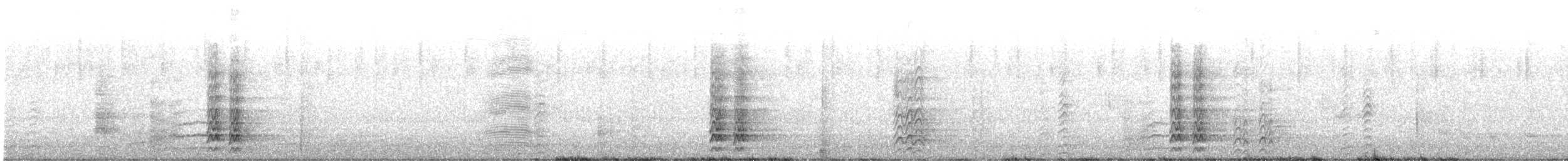 Long-billed Corella - ML645757738