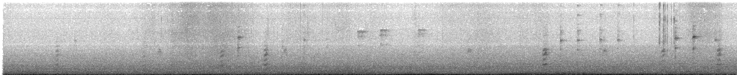 Gambel's Quail - ML645758074