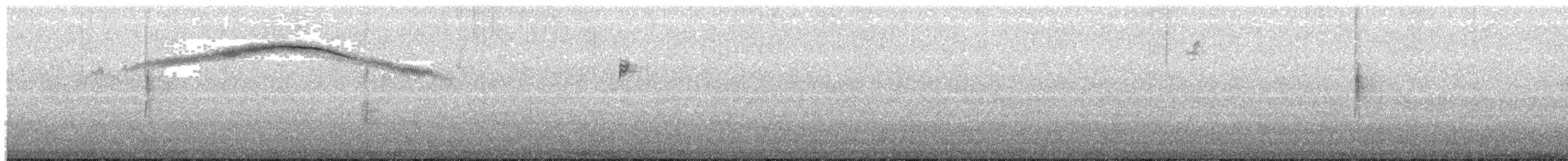 Costa's Hummingbird - ML645758078