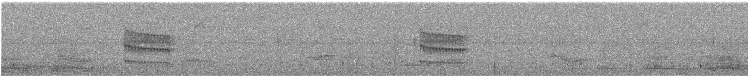 Double-banded Pygmy-Tyrant - ML645758176