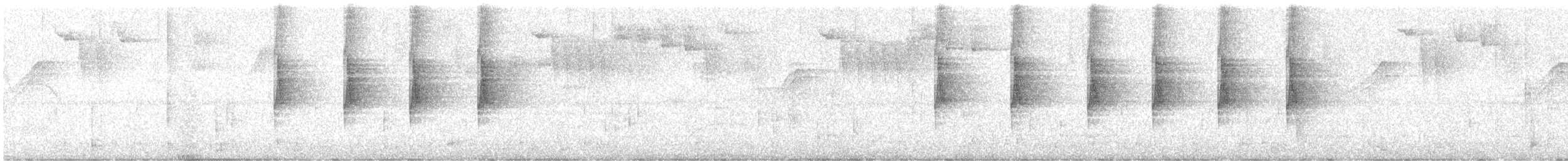 Brown Violetear - ML645758284