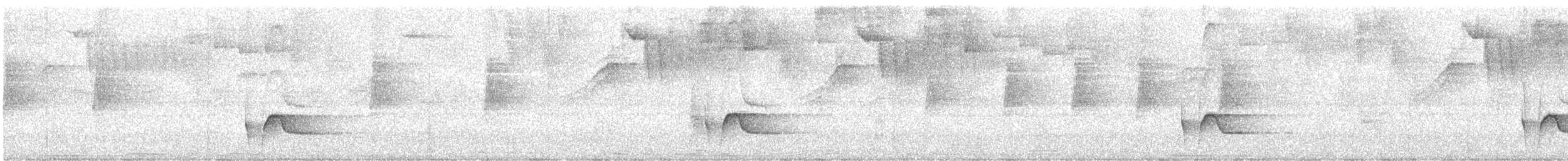 Gray-breasted Wood-Wren (Andean) - ML645758328