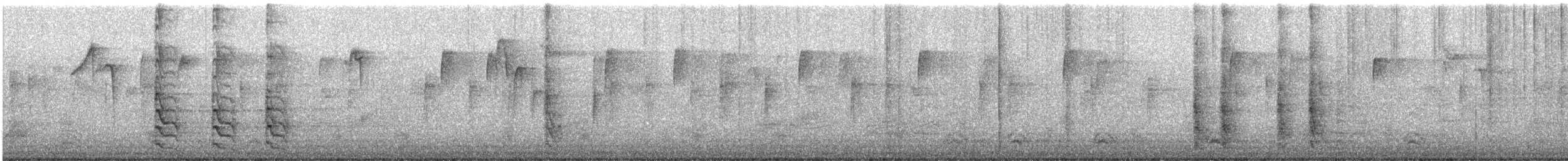 Carpintero de Carolina - ML645758397