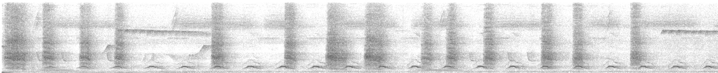 Black-tailed Trogon - ML645758623