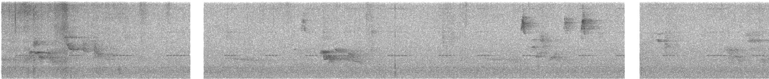 Orange-billed Nightingale-Thrush - ML645759535