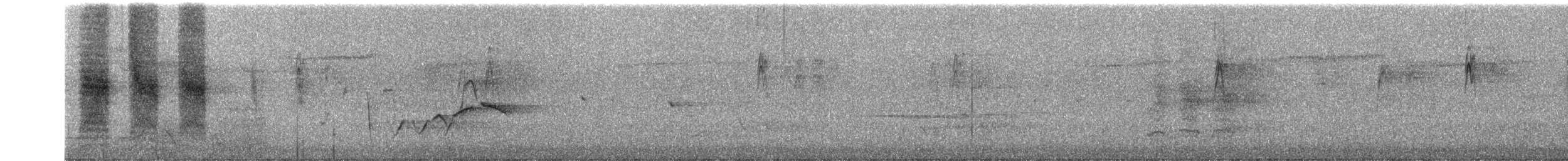 Gilbert's Honeyeater - ML645759635