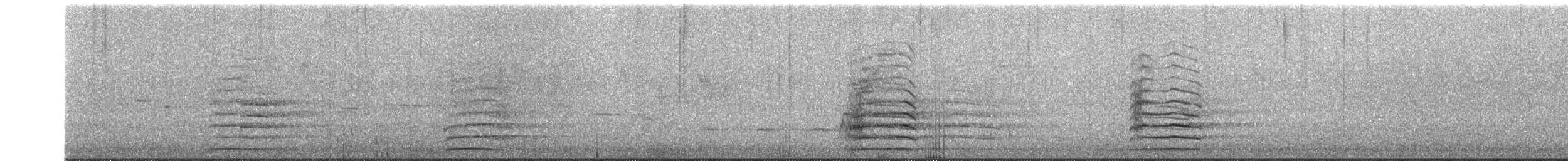 Red-tailed Black-Cockatoo - ML645759684