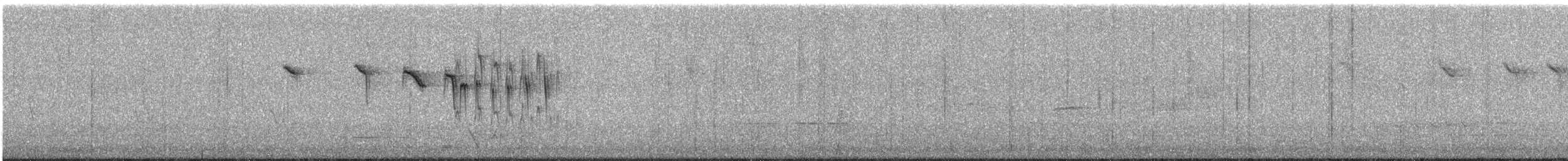 Red-winged Fairywren - ML645759786