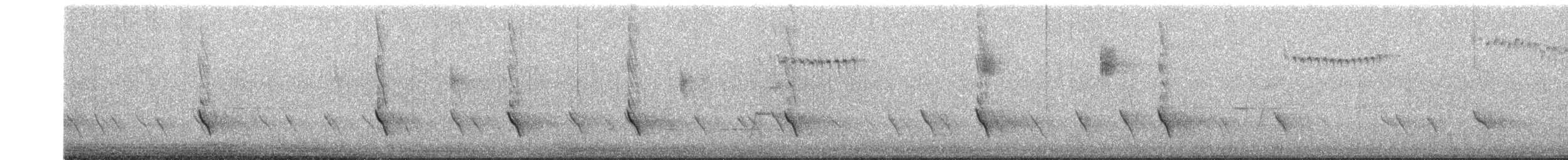 Splendid Fairywren - ML645759811