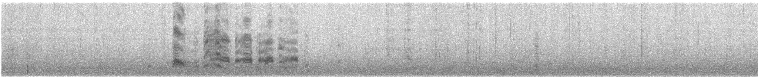 racek Bonapartův - ML645759868