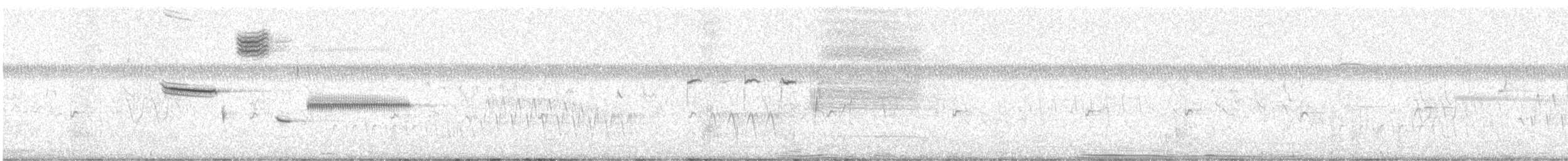 Grassland Sparrow - ML645760239