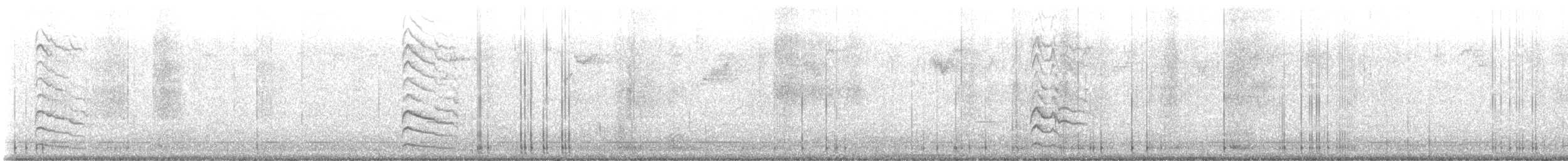 Chupasavia Norteño - ML645760443