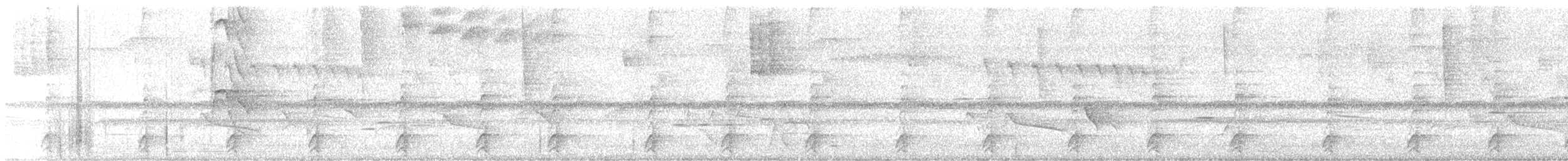 Tucanete Gorjiblanco - ML645760592