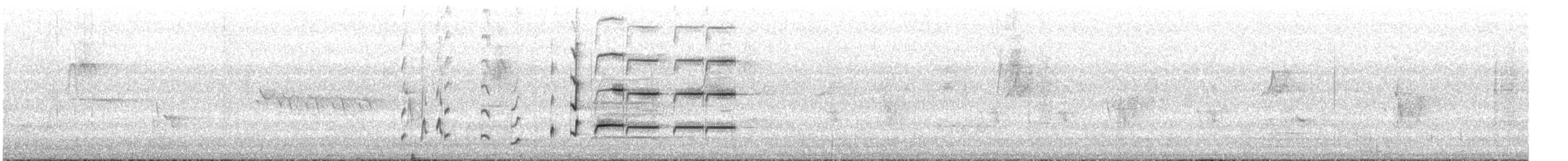 Perico de Port Lincoln - ML645760951