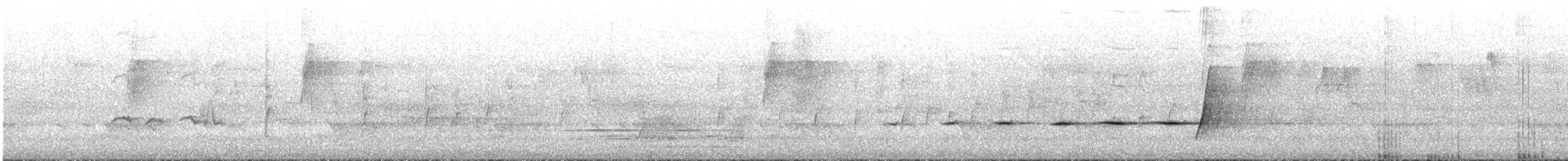 Silbador Dorado (Occidental) - ML645760989