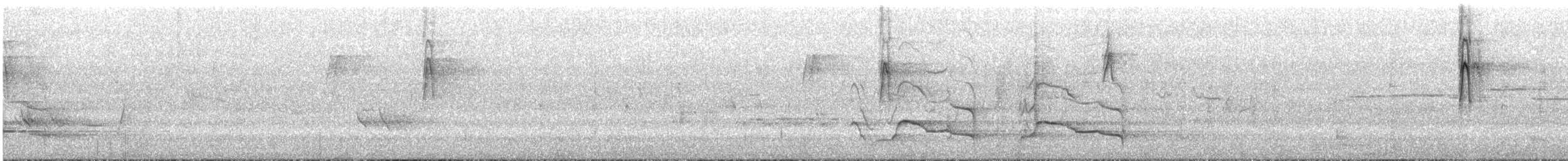 Mielero de Nueva Holanda - ML645761008