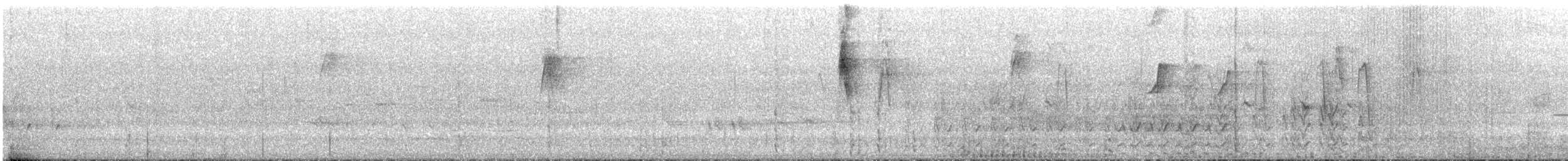 Perico Capelo - ML645761029