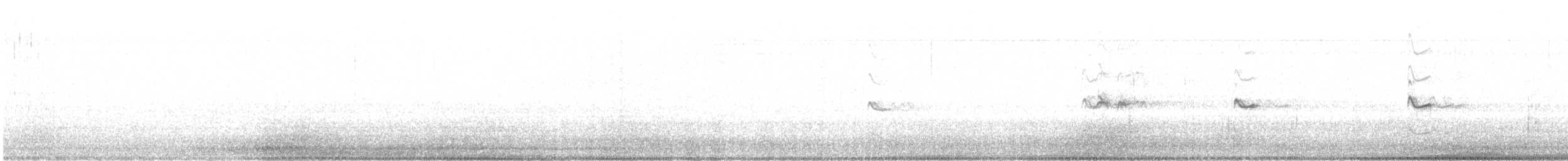 Chorlitejo Culirrojo - ML645761133